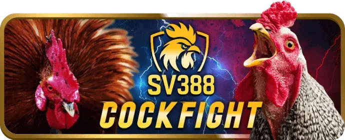 Hotline Hỗ trợ SV388